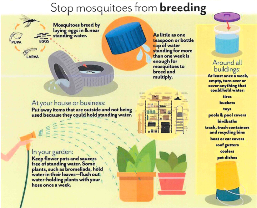 Screenshot 2026-03-30 092643